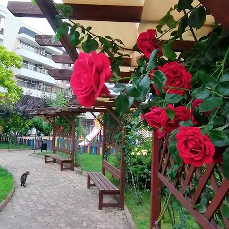 Grand Kamelia Sunny Апартаменты *